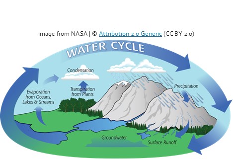 hydrological cycle