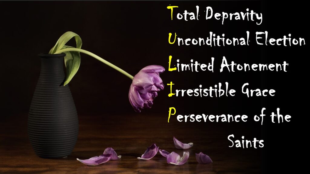 TULIP Calvinism