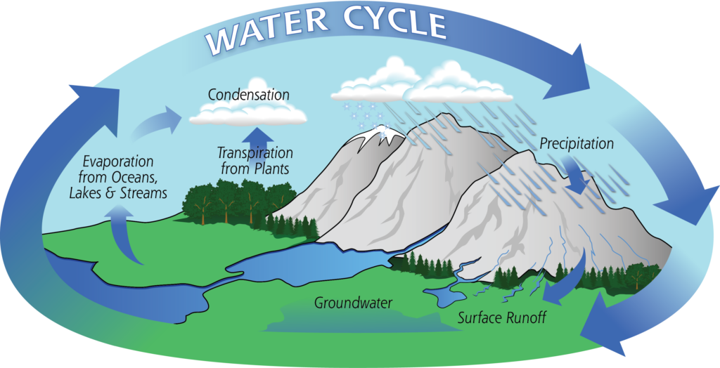 water cycle