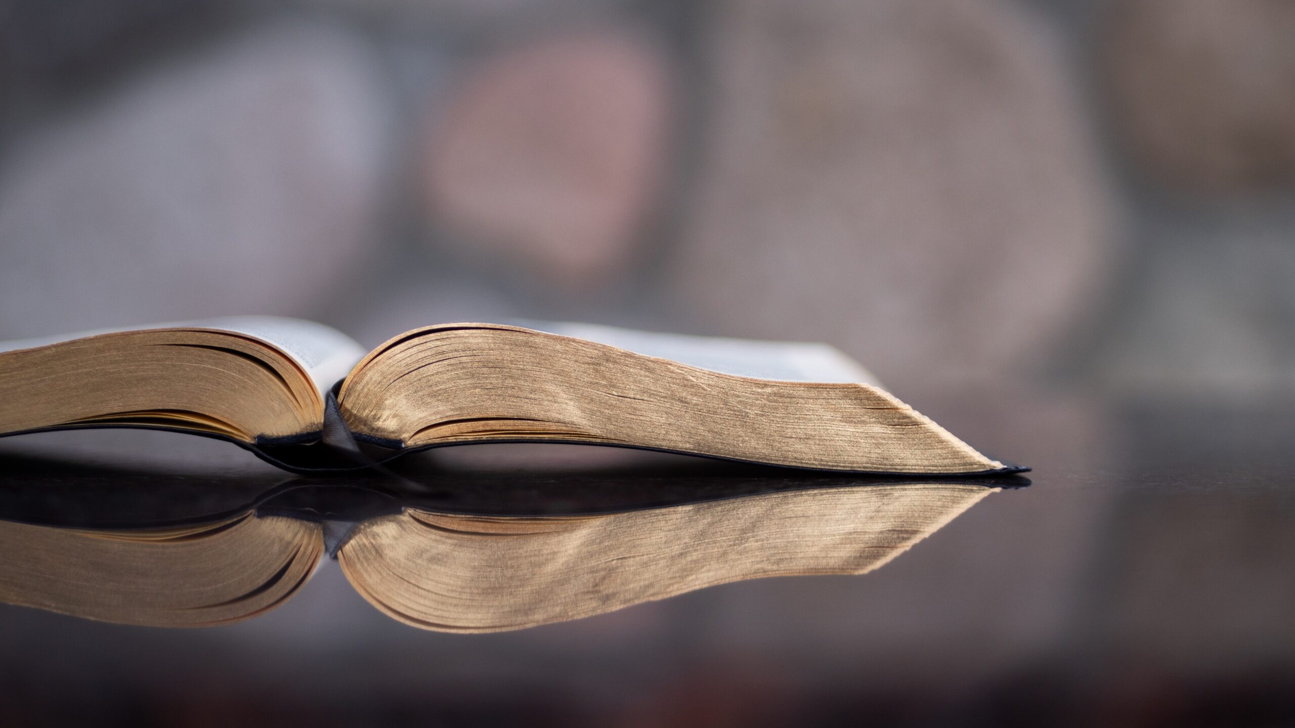 Bible questions